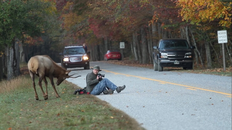 Kentucky's 6 Most Dangerous Animals: Know What to Watch Out For in 2024