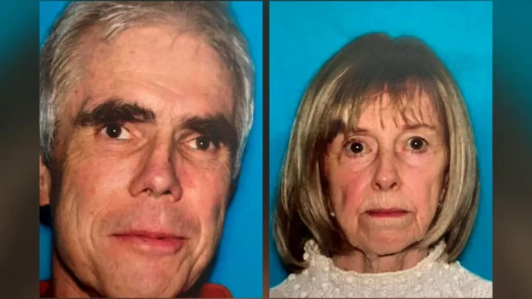 Search crews respond in wooded terrain during a missing-hikers operation at Pyramid Mountain